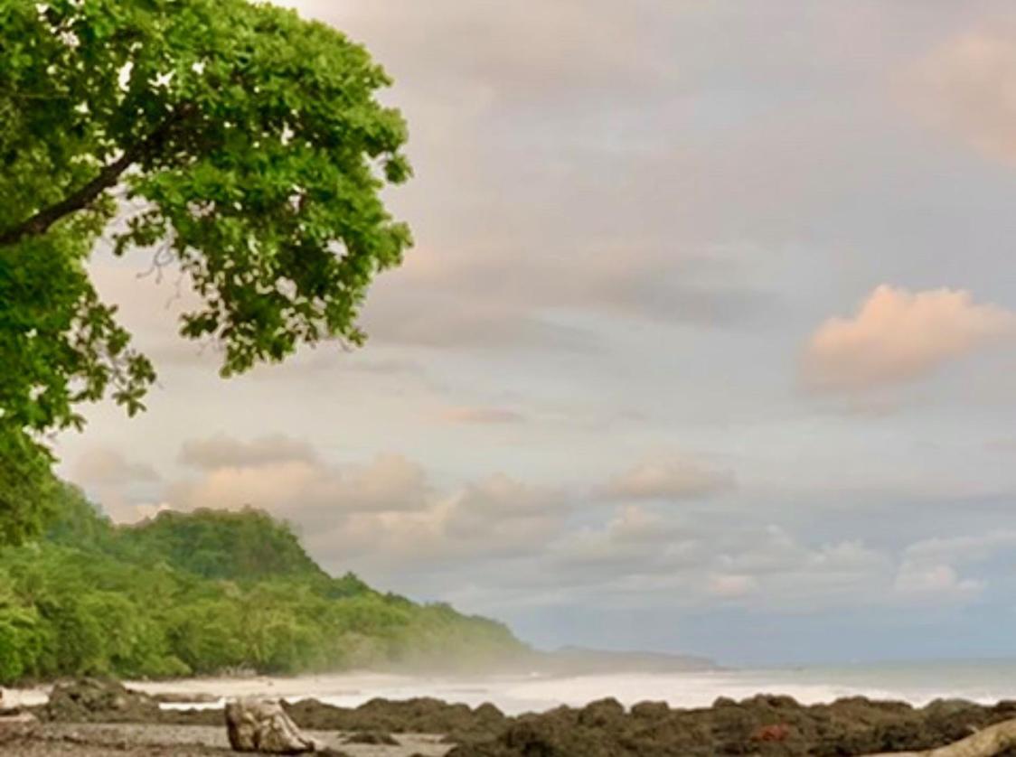 Sunshine Sanctuary Boutique Jungle Lodge Montezuma Exterior foto