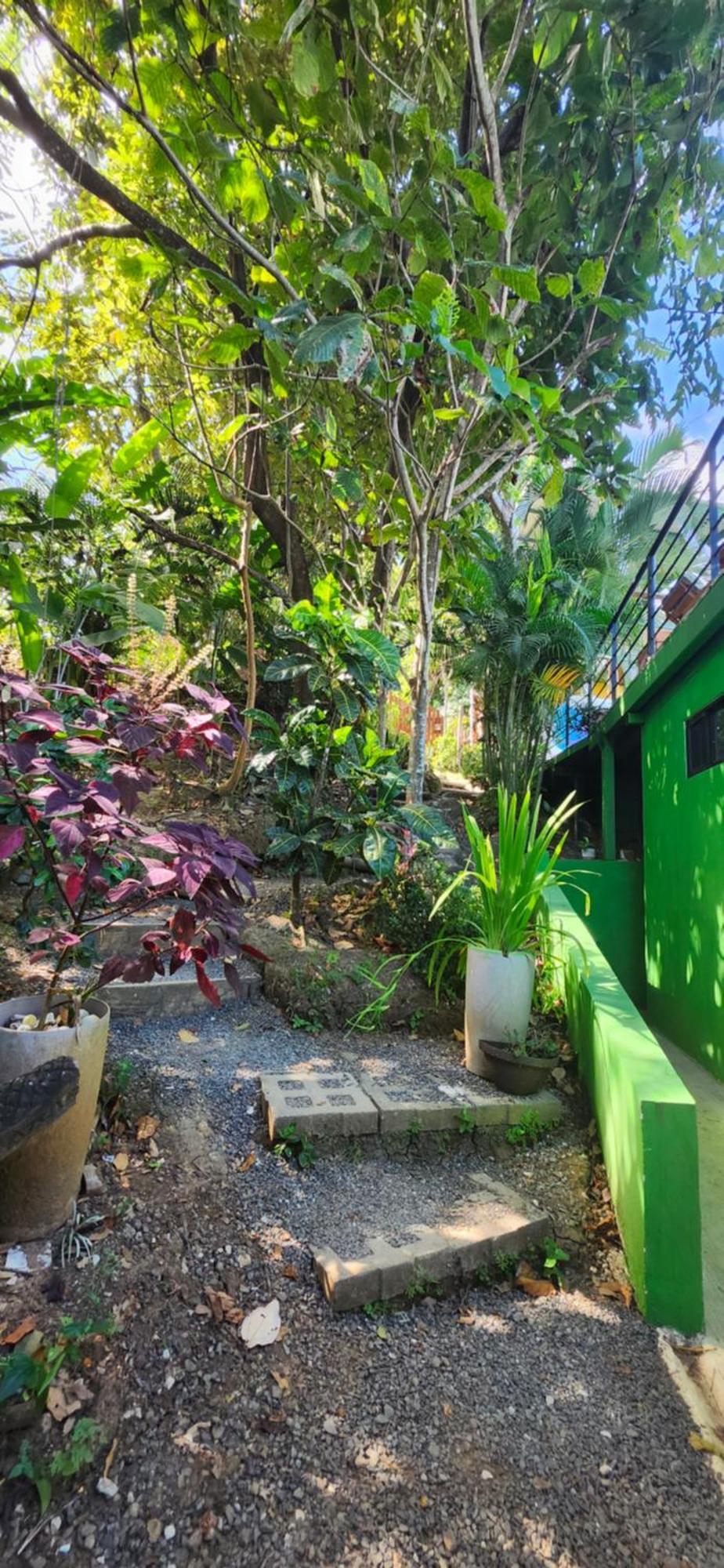 Sunshine Sanctuary Boutique Jungle Lodge Montezuma Exterior foto