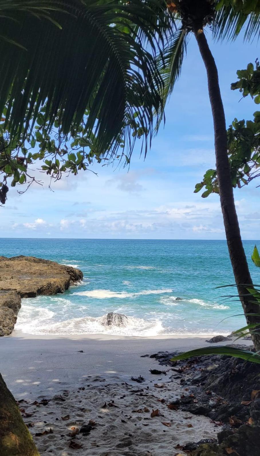 Sunshine Sanctuary Boutique Jungle Lodge Montezuma Exterior foto